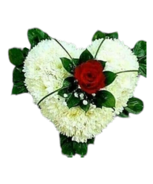 Cuore funebre con rosa rossa
