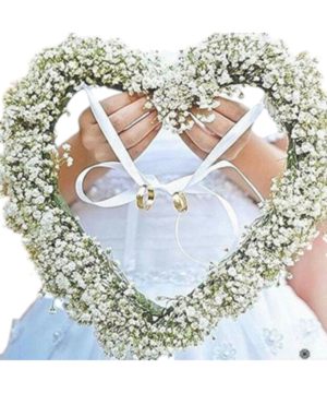 Cuore di Gypsophila