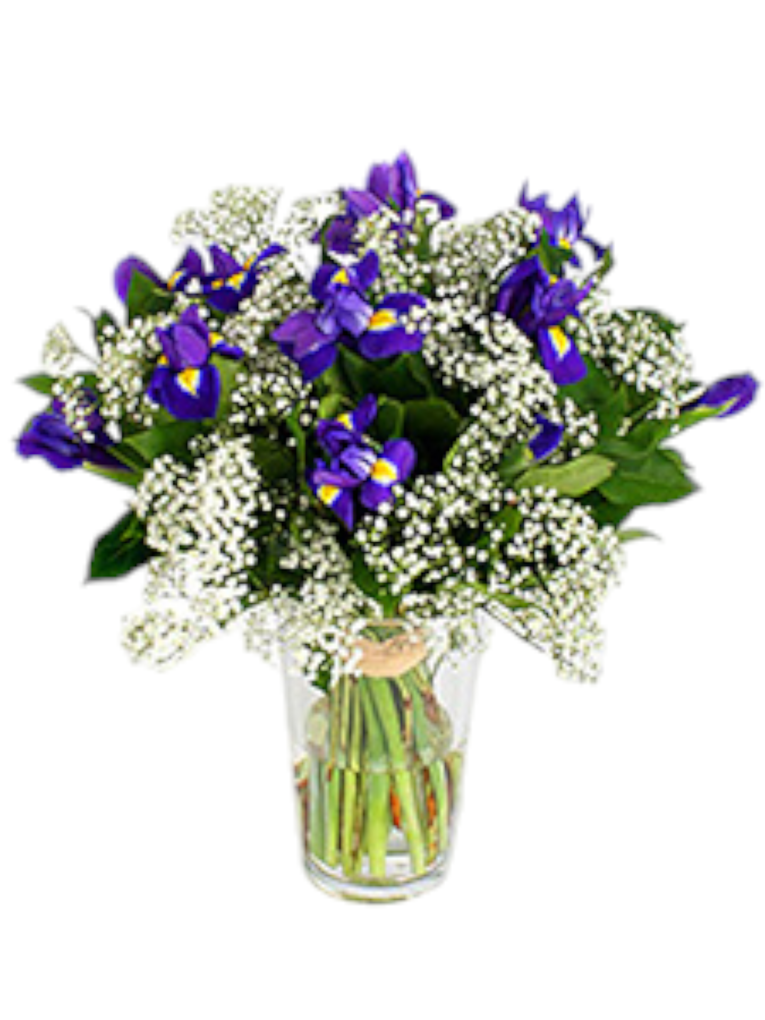 Featured image for “Bouquet Iris e Gypsophila”