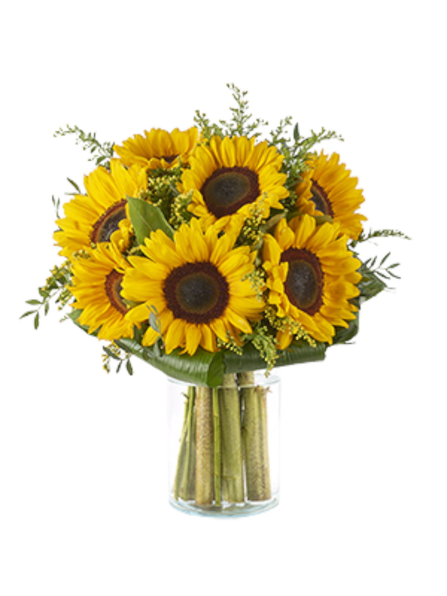 Featured image for “Bouquet di 7 girasoli”