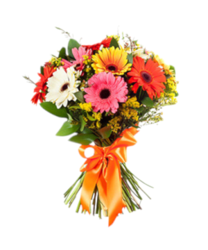 Bouquet gerbere miste