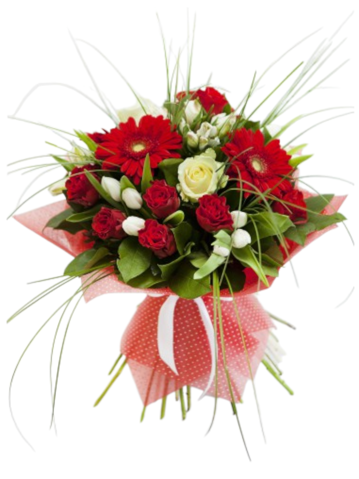 Featured image for “Bouquet di Rose bianche e rosse , tulipani bianchi e gerbere rosse”