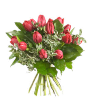 Bouquet di 15 tulipani rossi