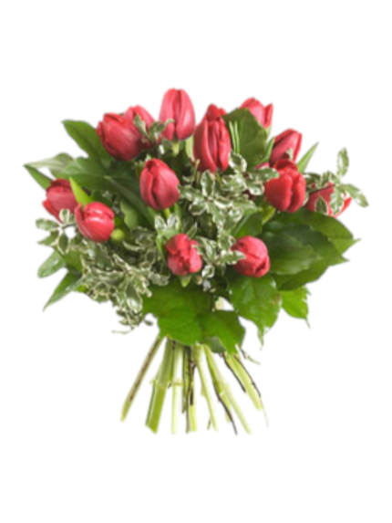 Bouquet di 15 tulipani rossi