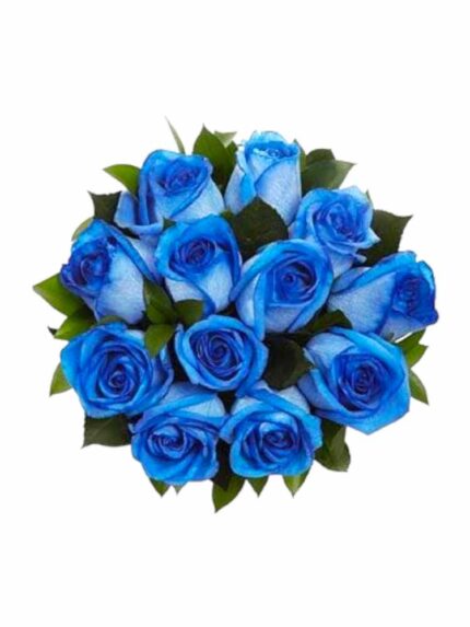 Bouquet 12 rose blu gambo corto