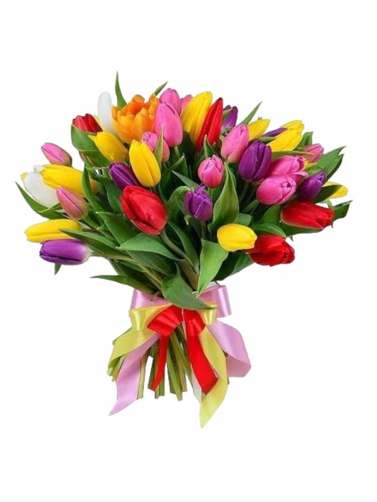 Featured image for “Bouquet di 30 tulipani misti”