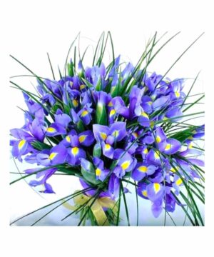 Bouquet iris