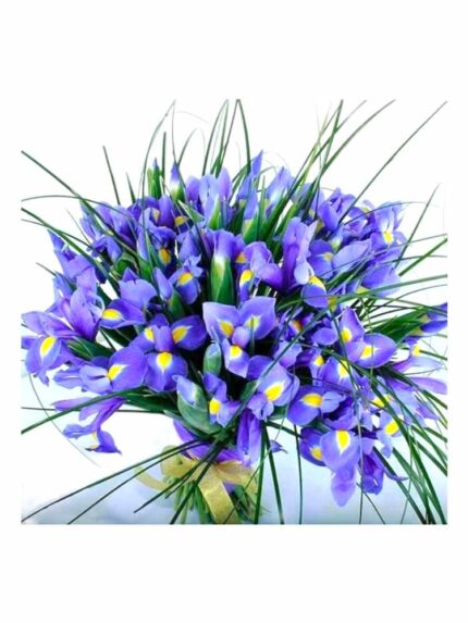 Bouquet iris