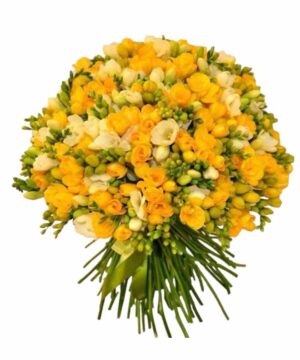 Bouquet di fresie gialle