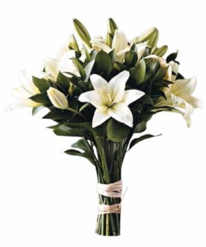 Bouquet di lilium bianchi