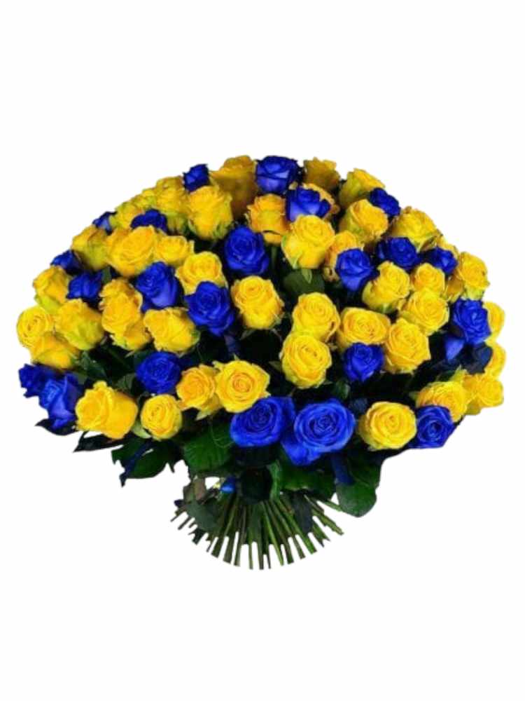 Bouquet di rose a gambo corto blu e gialle (70 rose) - Fiori e Piante Nada
