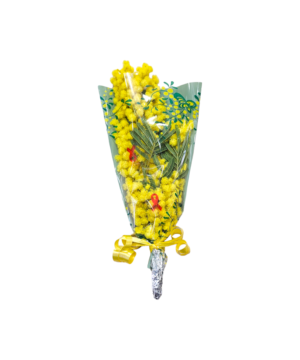 mazzetto di mimosa piccolo