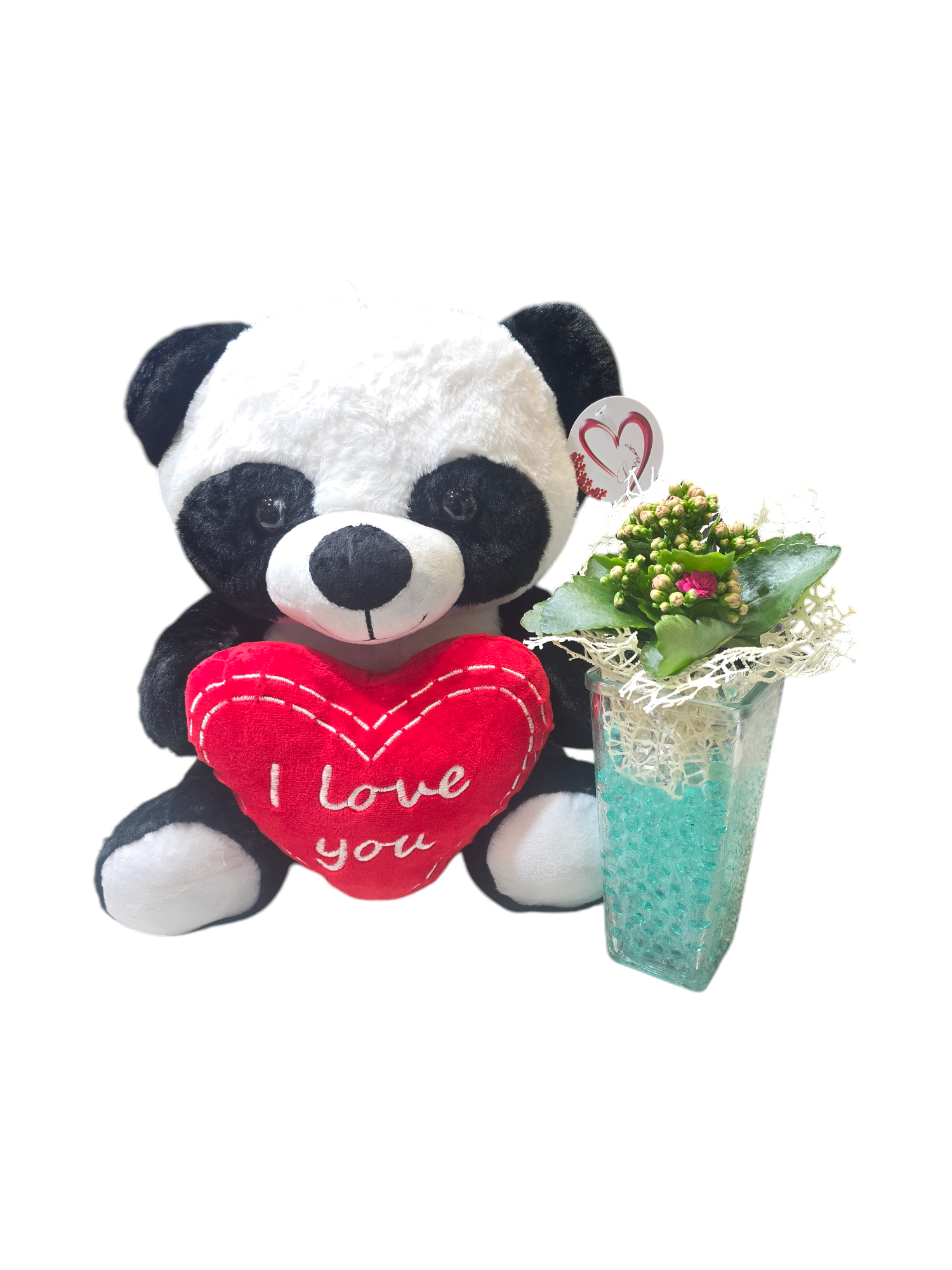 Featured image for “Panda con pianta di kalanchoe”