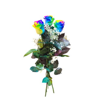 Bouquet di 3 Rose rainbow a gambo lungo