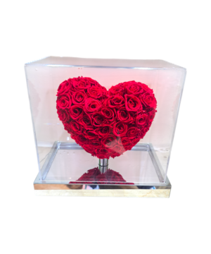 Cuore in 3D