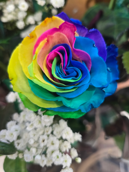 Bouquet di 9 Rose rainbow a gambo lungo - immagine 2