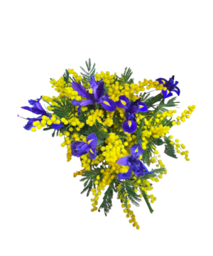 Bouquet di iris e mimosa