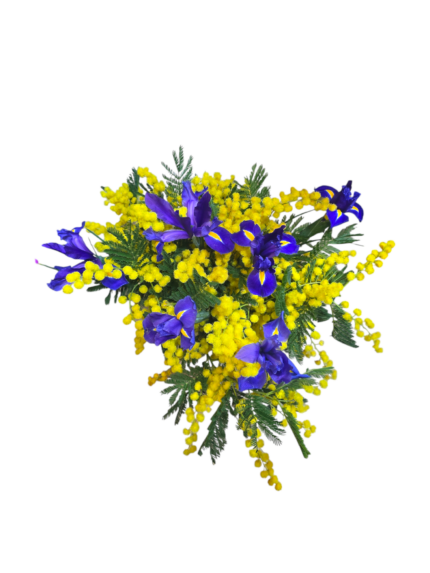 Bouquet di iris e mimosa