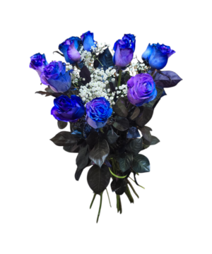 Bouquet di 12 Rose blu a gambo lungo