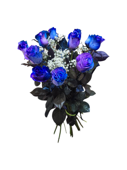 Bouquet di 12 Rose blu a gambo lungo