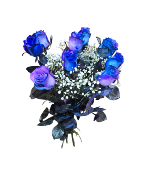 Bouquet di 9 Rose blu a gambo lungo