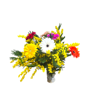 Bouquet gerbere e mimosa
