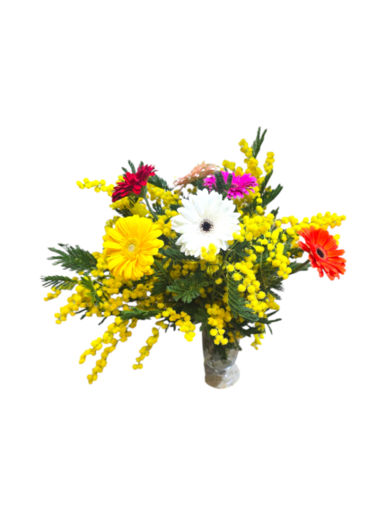 Bouquet gerbere e mimosa