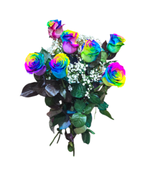 Bouquet di 7 Rose rainbow a gambo lungo