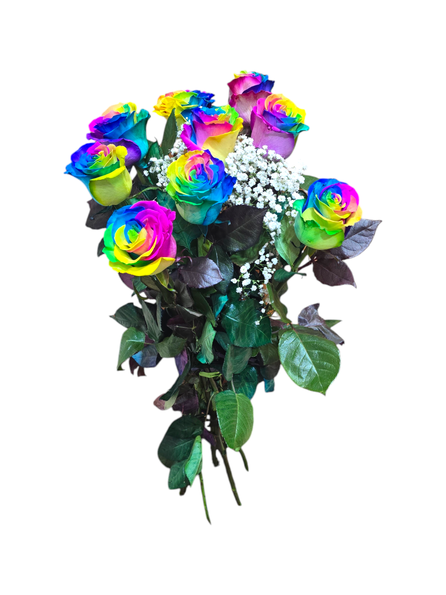 Featured image for “Bouquet di 9 Rose rainbow a gambo lungo”