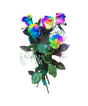 Bouquet di 5 Rose rainbow a gambo lungo