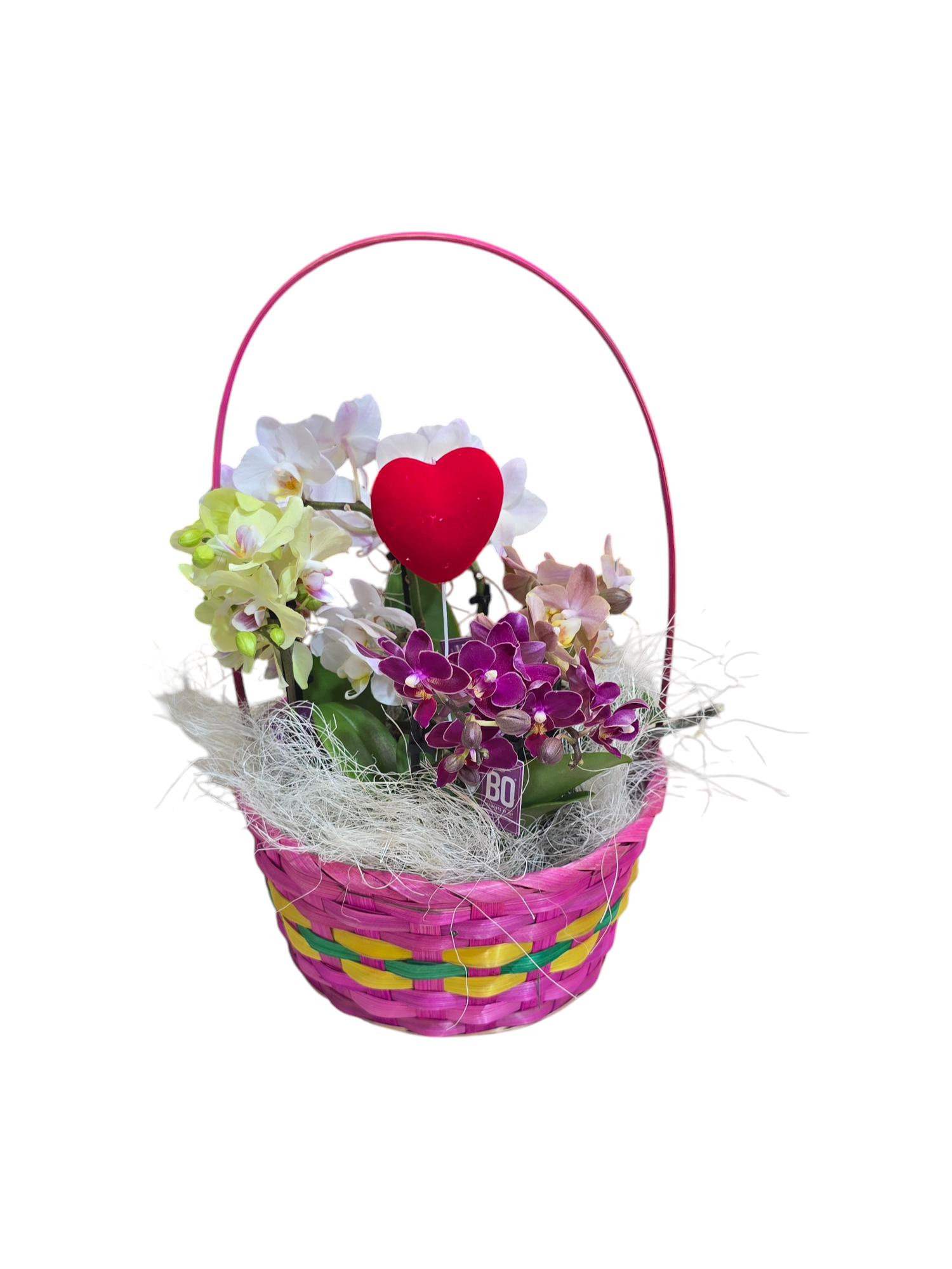 Featured image for “Cesto di mini orchidee”